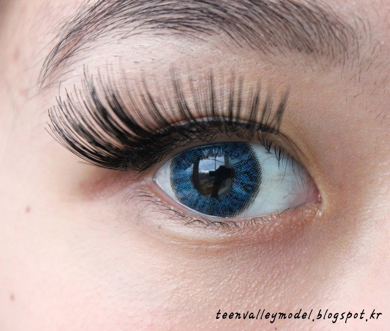 Ashley-S Aqua (3Color) Colored Eye Contacts (2pcs) 6 Months