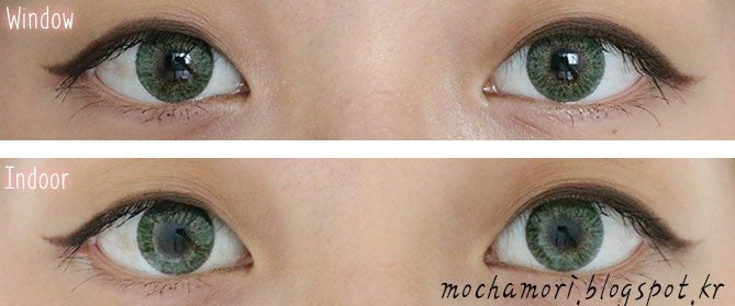 Bunny 3Color Green Color Contact Lenses (2Pcs) 6 Months