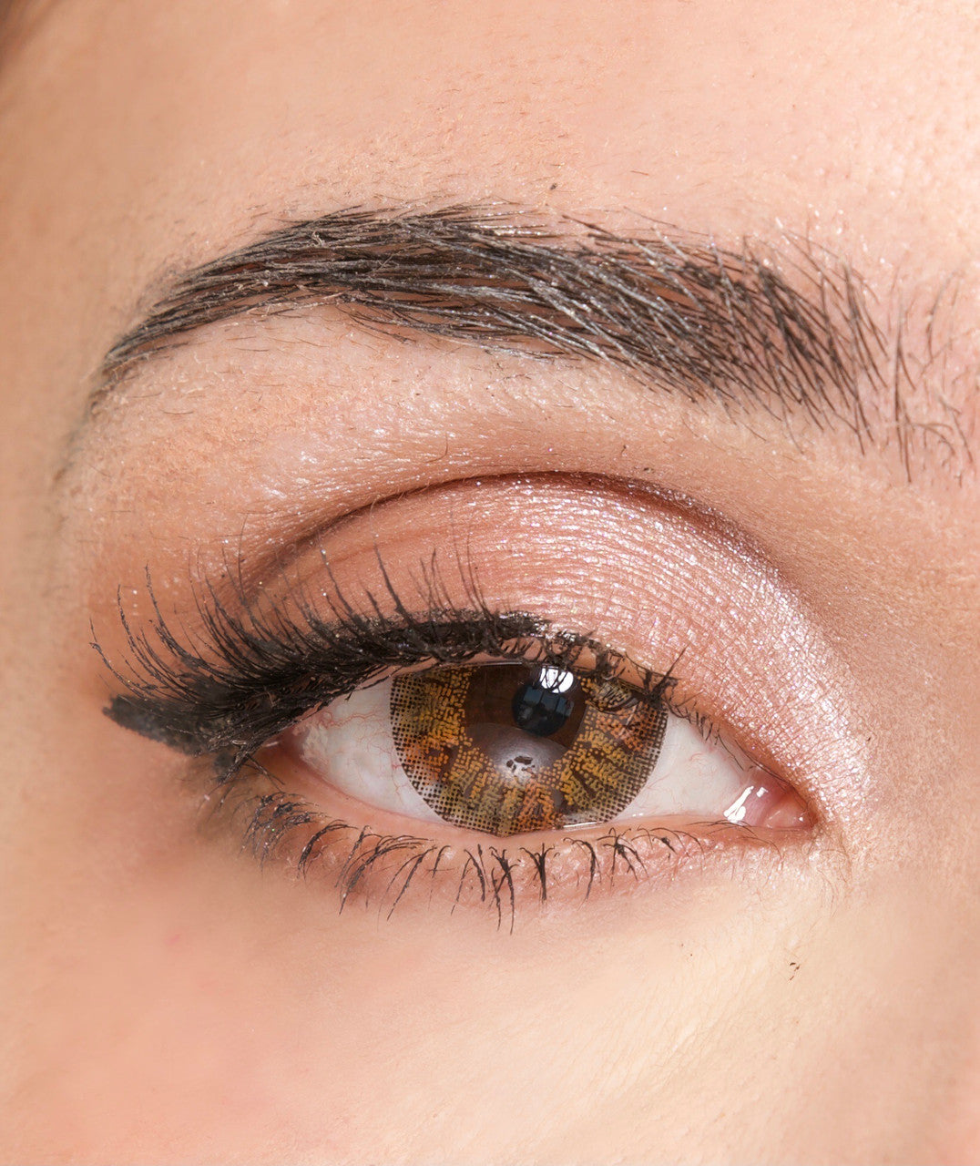 Bunny Pop Brown Colored Contacts Lenses (2Pcs) 6 Months