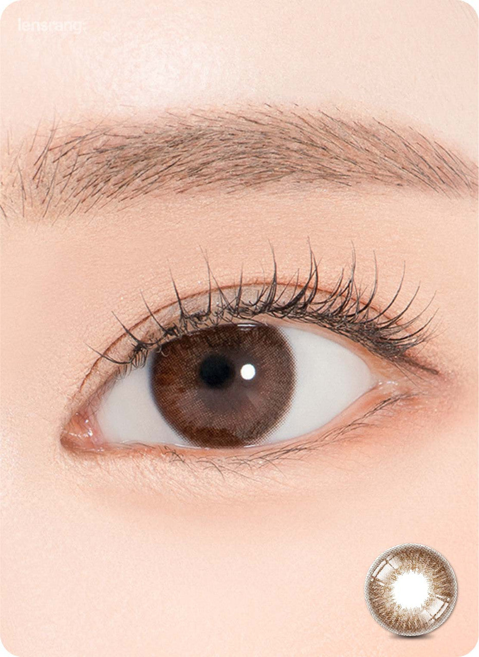 Hibiscus Rich Brown (2pcs) ( Buy  1 Get 1 Free )