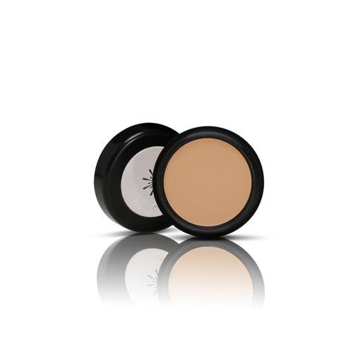 (MISSHA) PERFECT CONCEALER (NATURAL BEIGE)