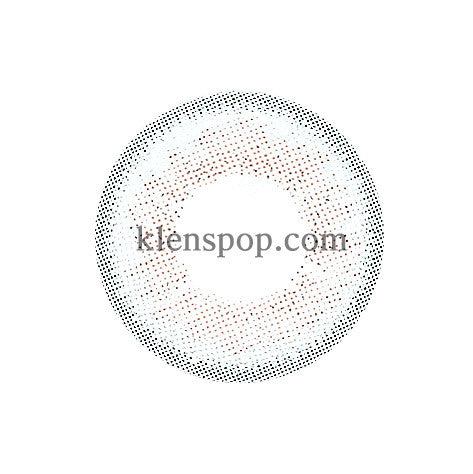 SCL 31 Gray (2Pcs) 6 Months (Silicone Hydrogel)