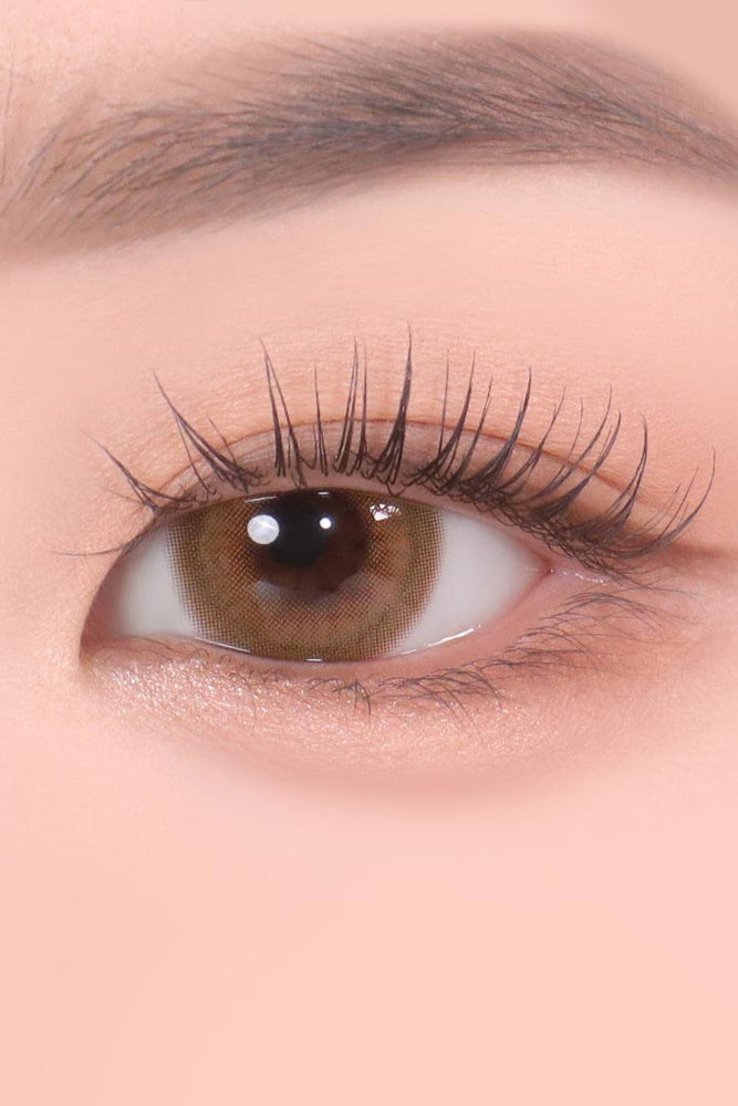 
                      
                        Color Pick Ardor Brown (10pcs) Daily (Silicone Hydrogel)
                      
                    