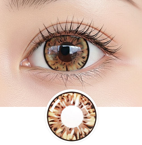 
                      
                        Pop Brown (VS) (2Pcs) 6 Months
                      
                    