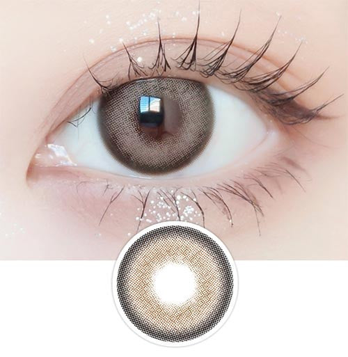 Photogenic Taupe Gray 1Day (10pcs) MPC LENS