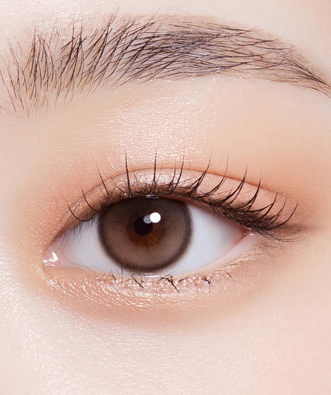 
                      
                        Purity Shine 1Day Taupe Brown (10pcs) MPC LENS
                      
                    