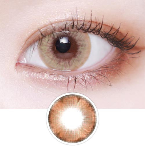 
                      
                        Wonder Eye Hazel (10pcs) Daily
                      
                    