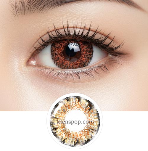 
                      
                        Ashley-S Deep Brown (3Color) Colored Eye Contacts (2pcs) 6 Months
                      
                    