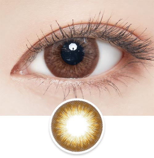 Big Class Brown (2pcs) [Silicon Hydrogel]